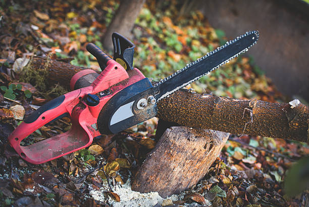 Best Emergency Tree Removal  in Brownstown, PA